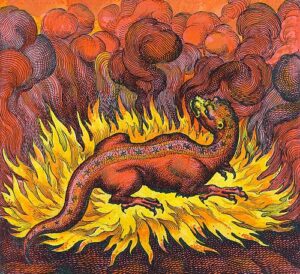 Message from the Fire Salamander, November 18th, 2017